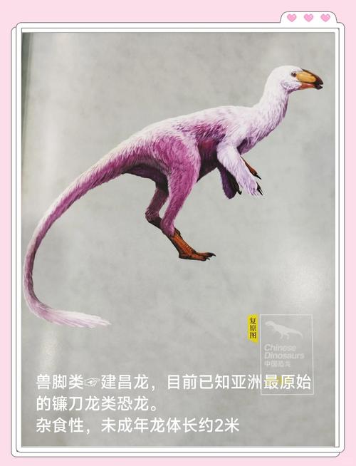 獨龍是什麼:深入解析「獨龍」的多元面向與獨龍族的神秘文化 1 獨龍是什麼