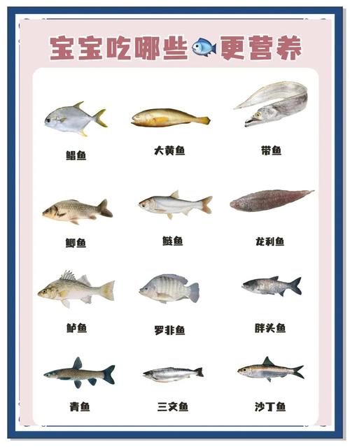 小朋友吃什麼魚好