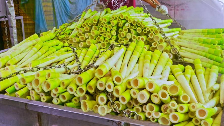 桂竹筍1斤多少錢