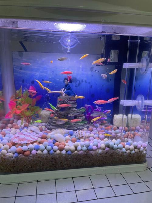 小魚缸