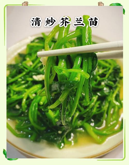 芥藍菜種植時間掌握最佳時機,輕鬆種出鮮甜芥藍菜:從播種到豐收的完整指南 1 芥藍菜種植時間