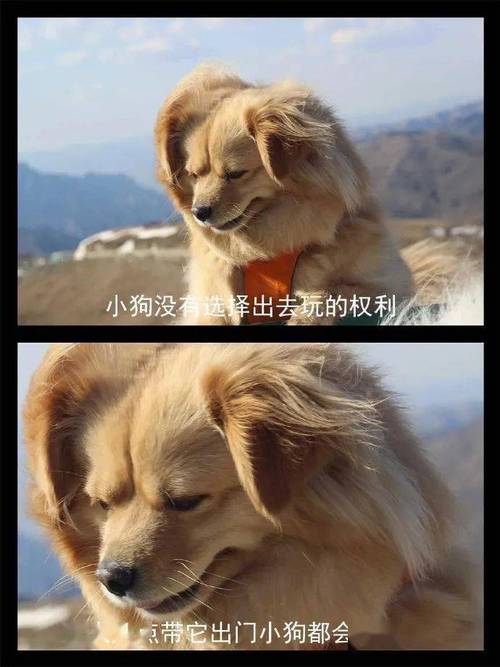 一口選擇權多少錢