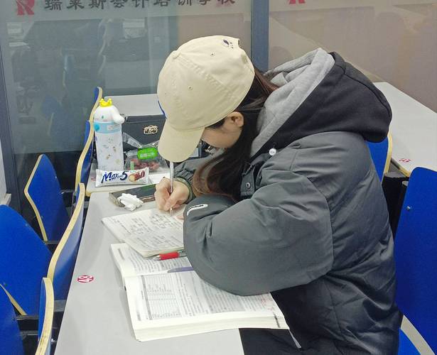 公司會計從入門到精通:為何重要?如何選擇?關鍵任務與常見問題全解析 1 公司會計