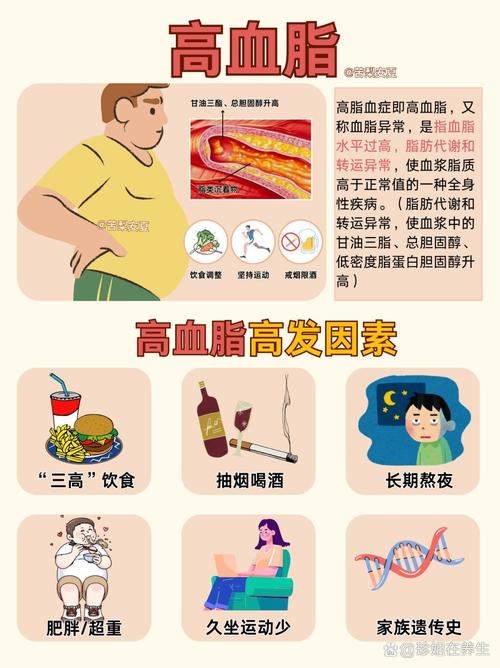 高血脂看哪一科