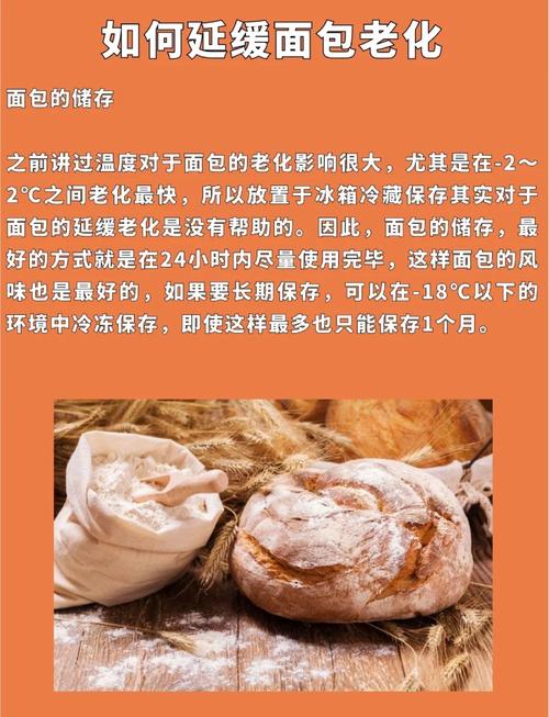 麵包為什麼會老化:深度解析澱粉回凝與保存之道 1 麵包為什麼會老化