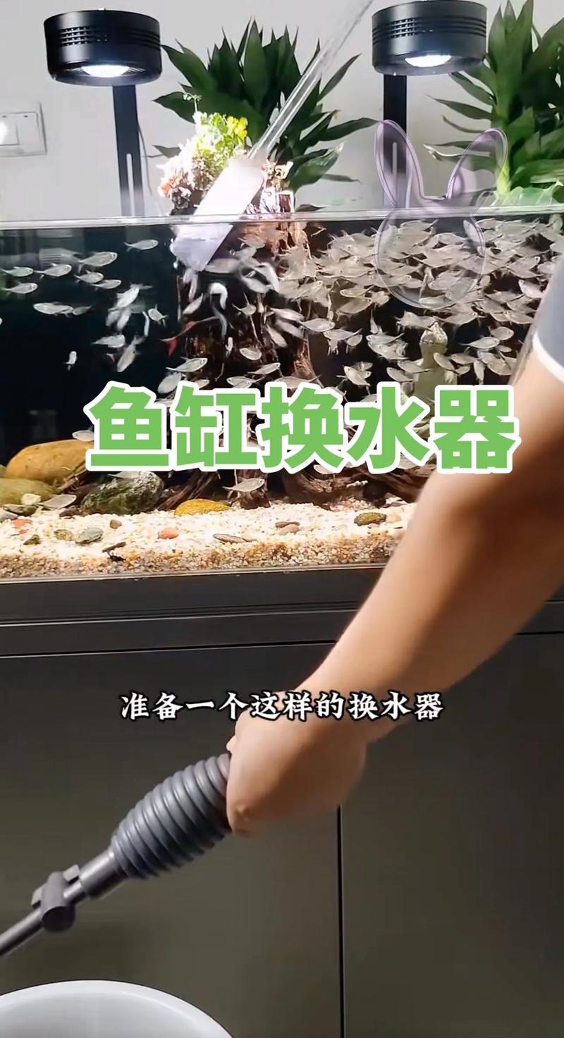 魚缸底砂要換嗎