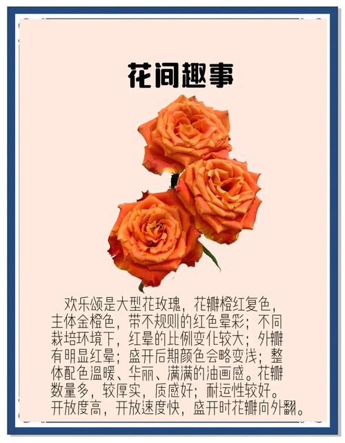 花要每天換水嗎