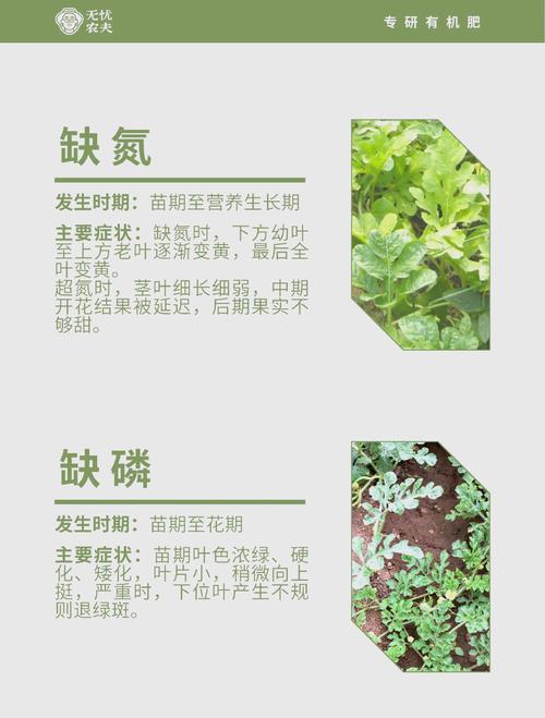 缺鎂症狀全面解析:從肌肉抽搐到情緒失衡,你該注意的身體警訊 1 缺鎂症狀