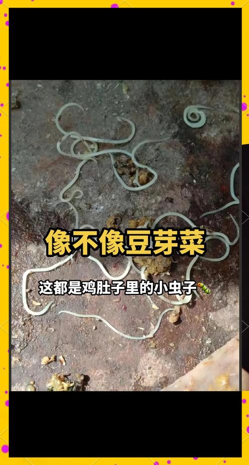 雞母蟲是益蟲嗎