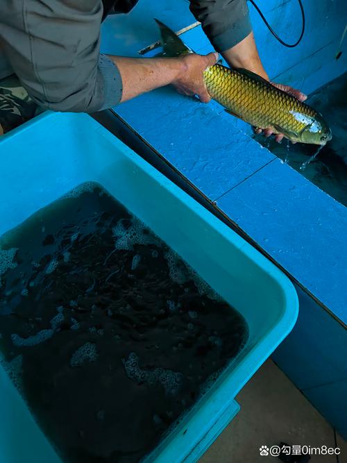 水貨不好嗎?深入解析平行輸入商品的優劣、風險與聰明選購指南 3 水貨不好嗎