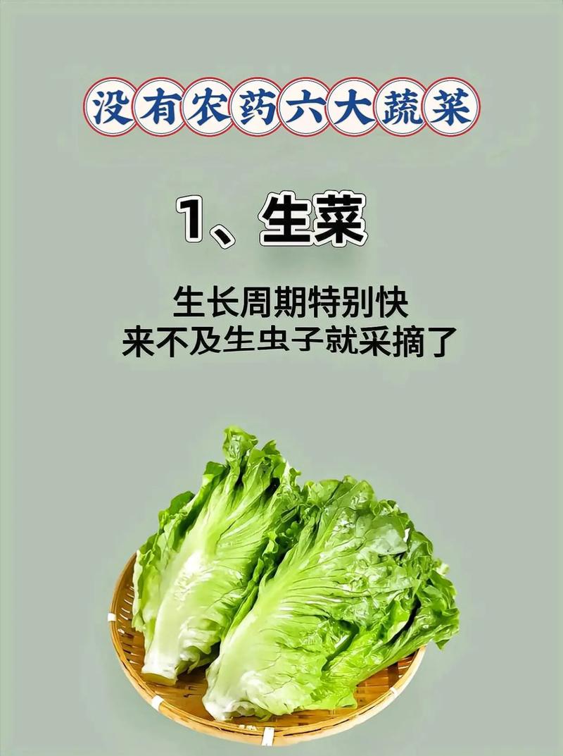 什麼蔬菜不用洗