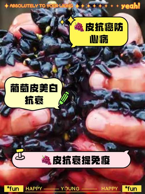 貓眼葡萄皮可以吃嗎