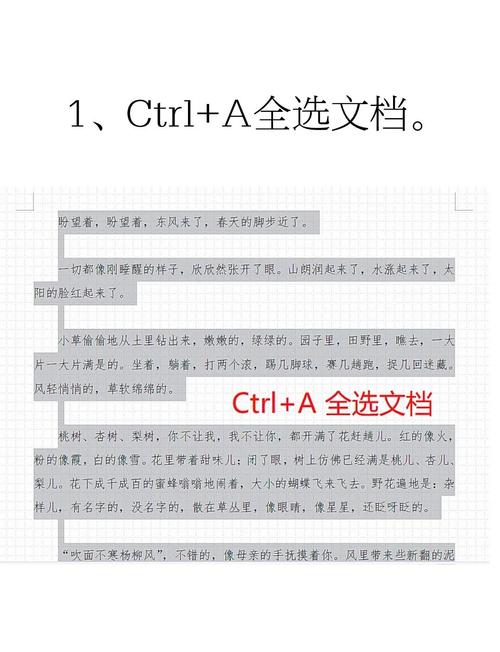 如何刪除資料庫