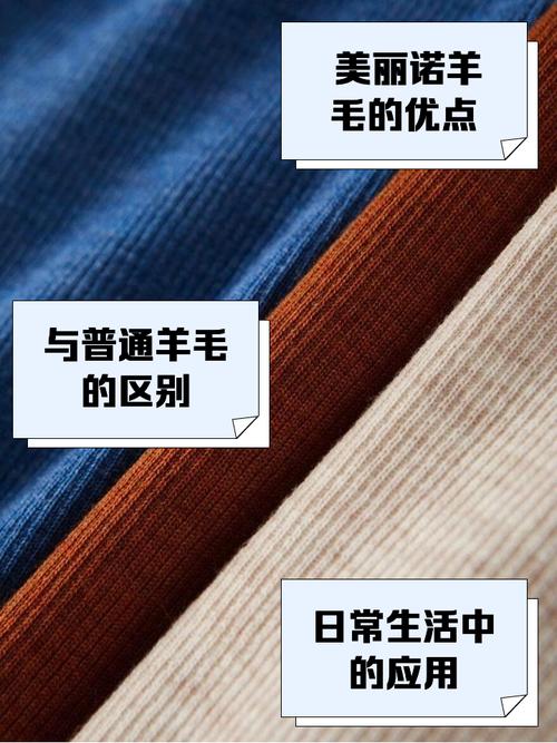 美麗諾羊毛是什麼?深入探索這種卓越天然纖維的奧秘與優勢 1 美麗諾羊毛是什麼