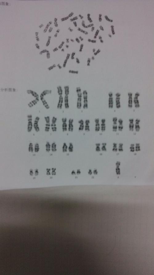 呈核是什麼:深入解析企業與公文流程中的關鍵環節 3 呈核是什麼