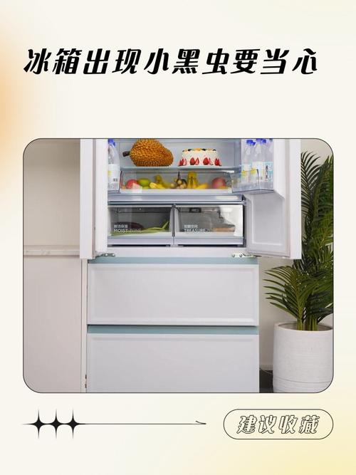 冰箱小蟲:冰箱裡的小不速之客?找出原因、徹底清除並有效預防的全攻略! 3 冰箱小蟲