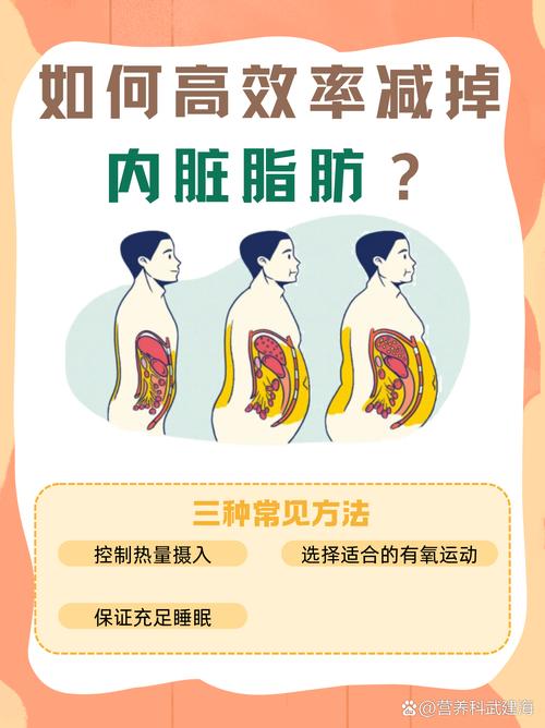 怎樣減少內臟脂肪