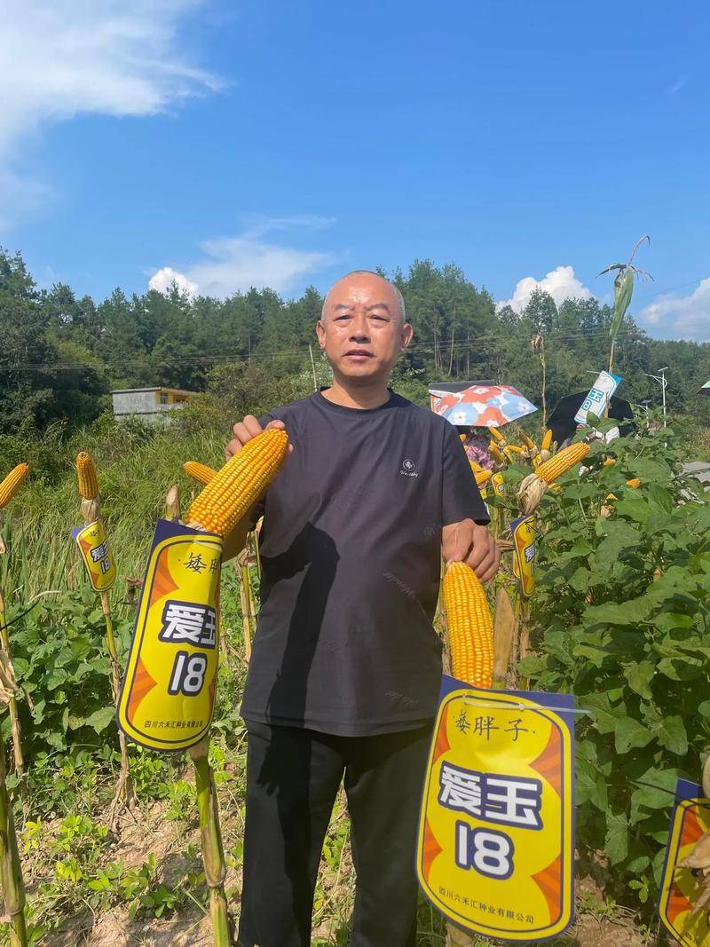 愛玉可以放幾天