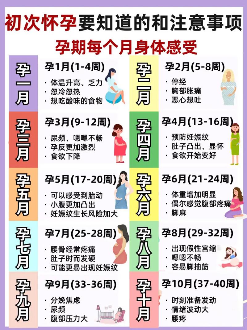 懷孕五個月是幾周