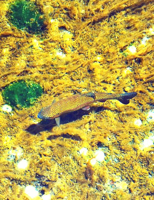 忍也八海 待多久