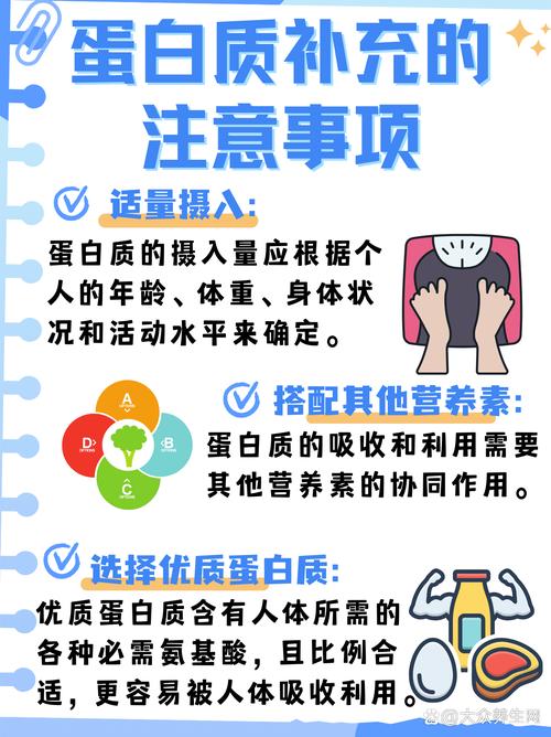 蛋白質從哪裡攝取