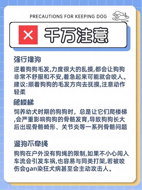 如何避免狂牛症