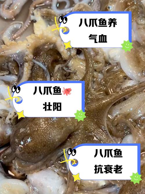 八爪魚 健康嗎