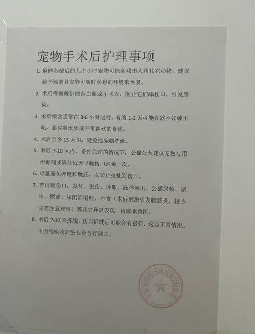 貓咪結紮補助如何申請