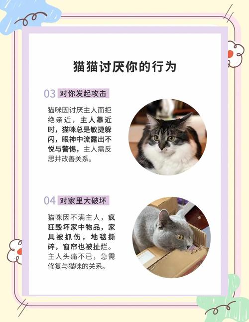 怎麼知道貓咪討厭你