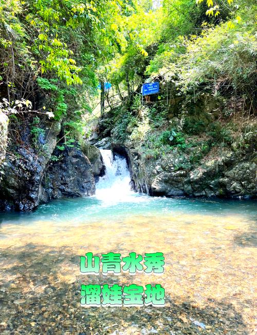 溪頭可以煮東西嗎