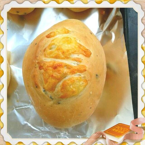 兩公克:從日常生活到科學應用的精準度量與意義 3 兩公克