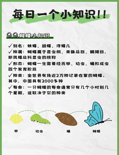 蝴蝶討厭什麼味道:解析驅蝶植物、天然氣味與應用方式 1 蝴蝶討厭什麼味道