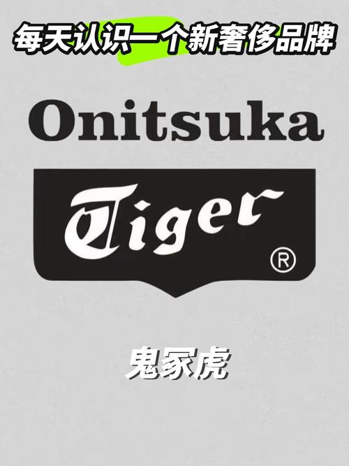 moody tiger是哪里的品牌?深入解析香港高端運動休閒服飾品牌 1 moody tiger是哪里的品牌