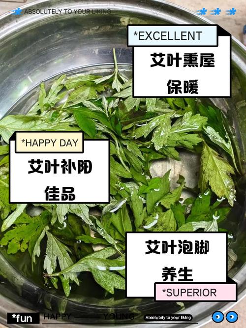 艾草要煮多久