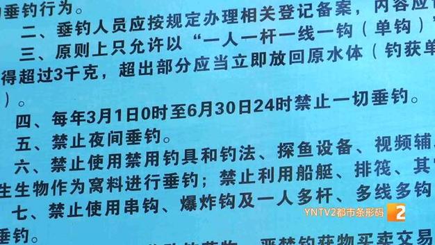 違法垂釣罰多少