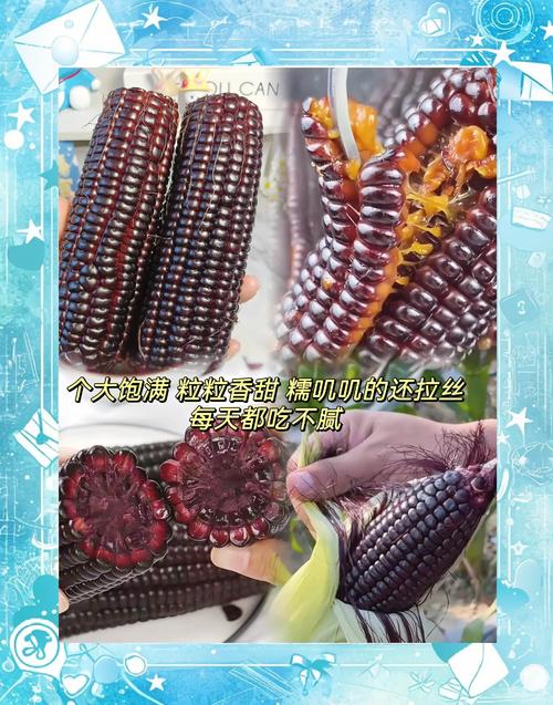 玉米變黑可以吃嗎