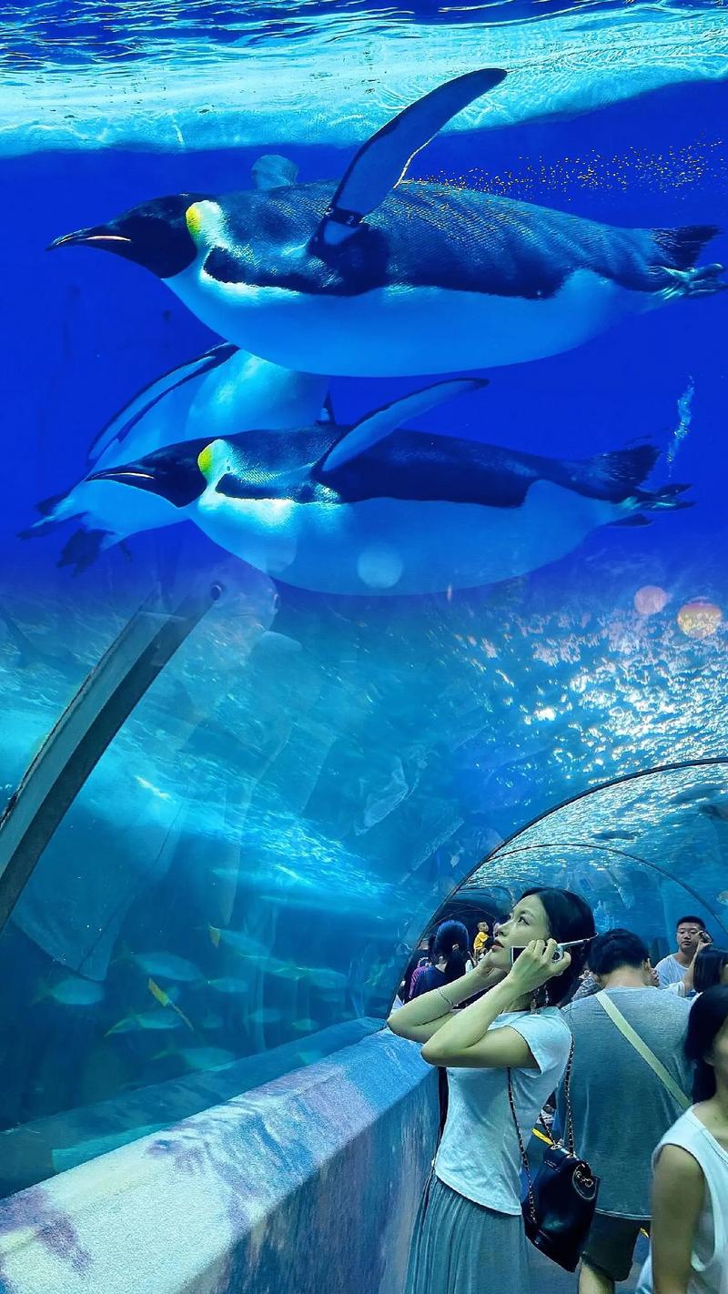 哪些國家有海底溫泉:探索全球奇特的海洋地熱秘境 3 哪些國家有海底溫泉