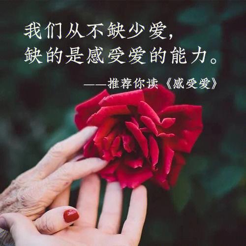 愛是一種感覺嗎:深入剖析愛、情感與本質的關係 1 愛是一種感覺嗎