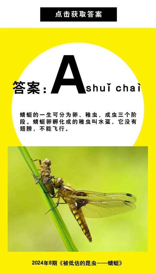 蜻蜓的天敵是什麼