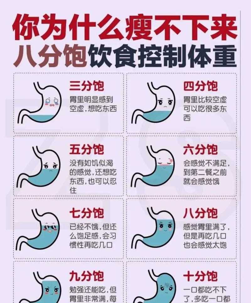 八分飽是什麼感覺