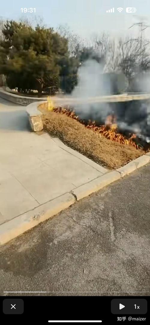 為什麼不能燒稻草