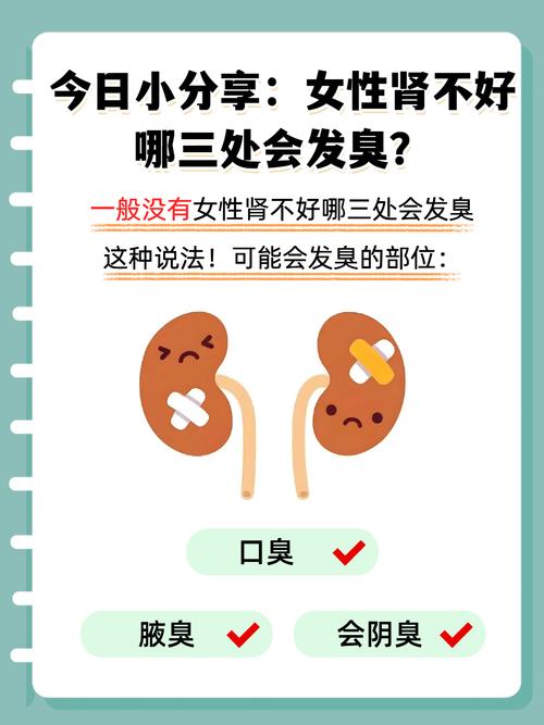 腎不好會掉髮嗎