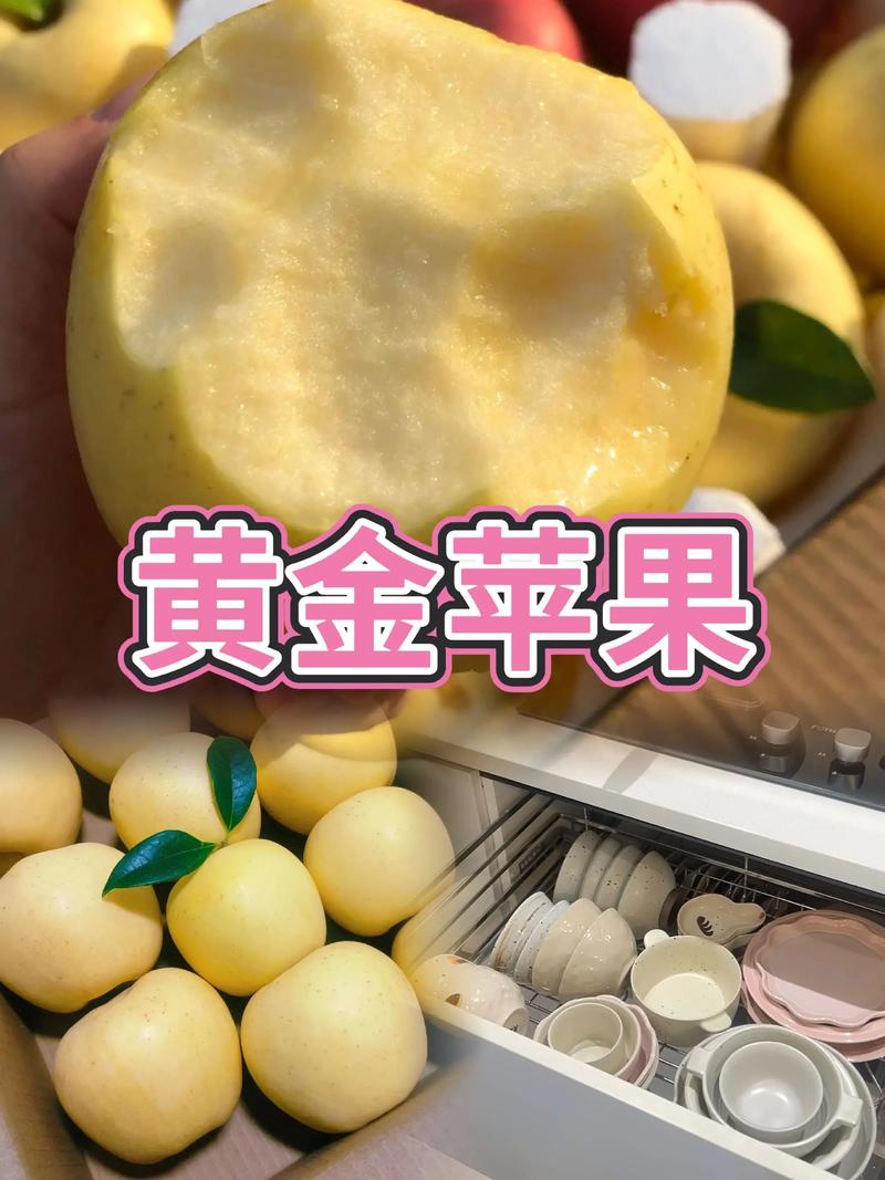 黃金蘋果