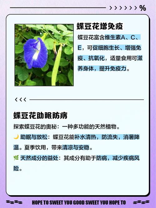 月經來可以喝蝶豆花嗎