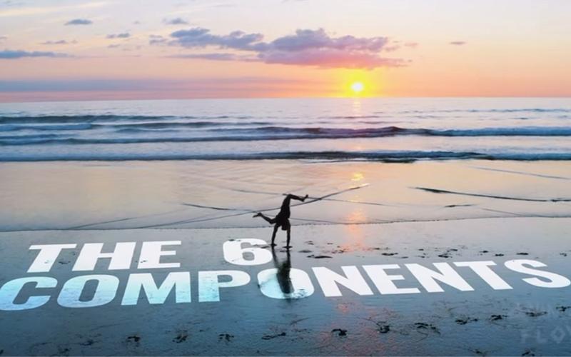 什麼是Animal Flow