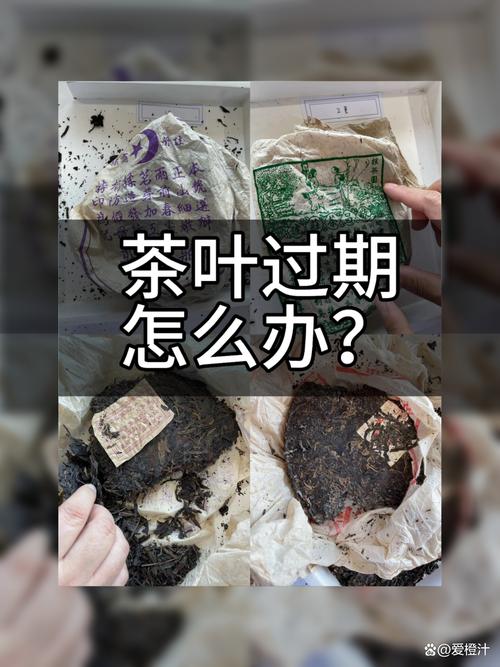 茶葉過期可以喝嗎
