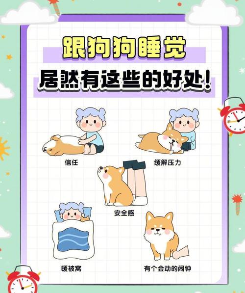 如何哄幼犬睡覺