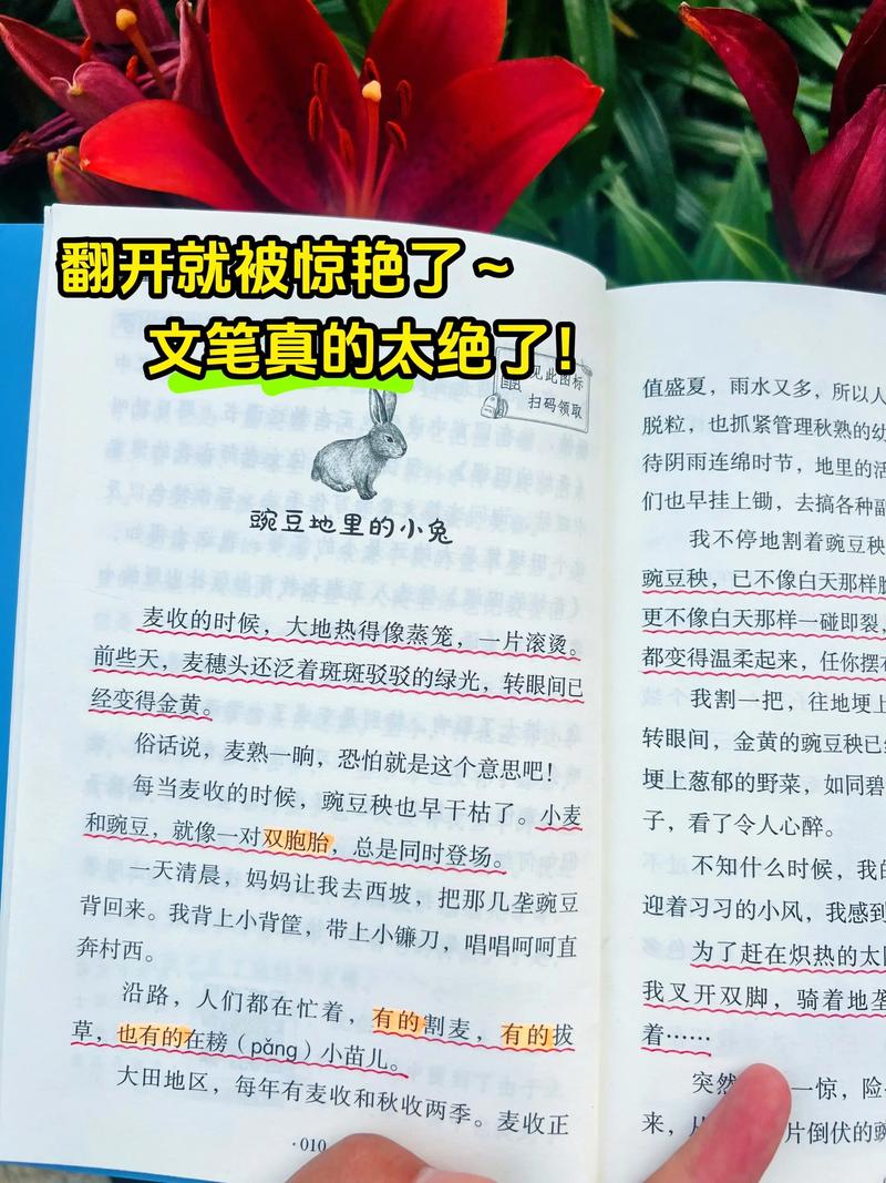 該看什麼書