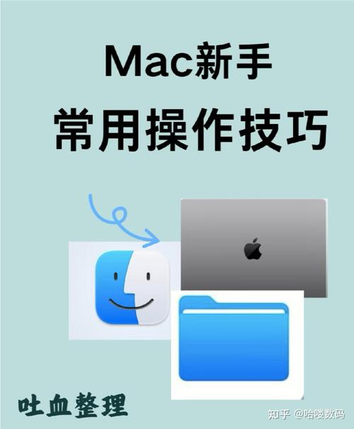如何整理Mac