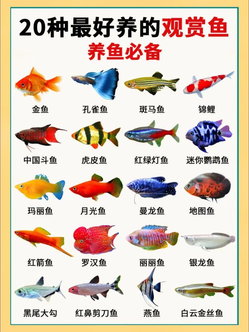 世界上有幾種魚